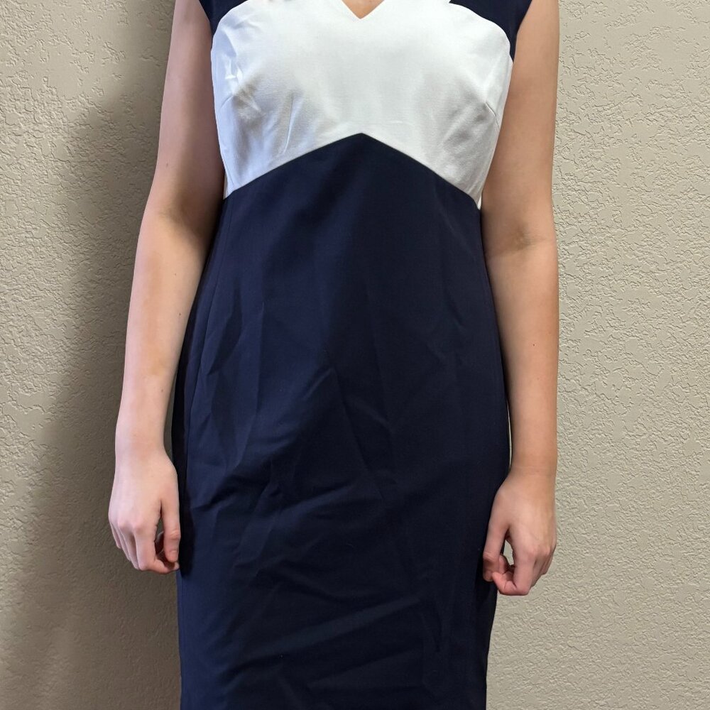 Size 14 Calvin Klein Sleeveless Sheath Dress